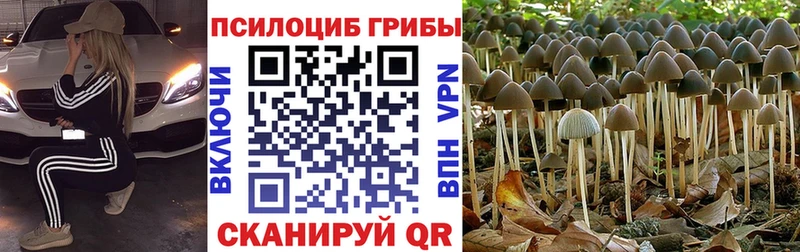 Псилоцибиновые грибы мухоморы  Щёлкино 